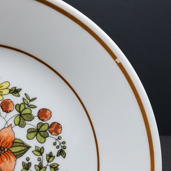 Corelle Indian Summer Lunch Salad Bread Dessert Plate Brown Orange Yellow Flower - Picture 9 of 9